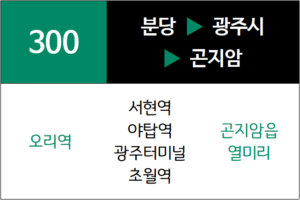 300번 일반시내버스 노선