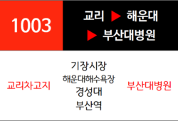 1003번 급행버스 노선