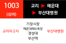 1003번 심야급행버스 노선