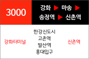 3000번 광역버스 노선